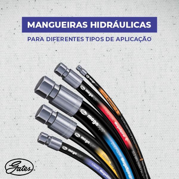 mangueiras_gates_carrosel